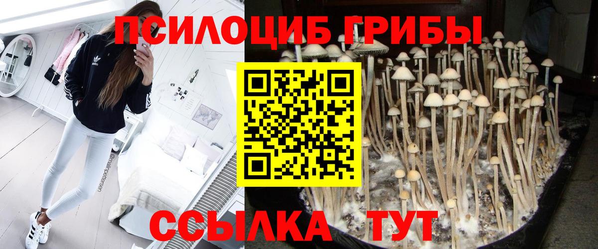 Галлюциногенные грибы Cubensis Белгород