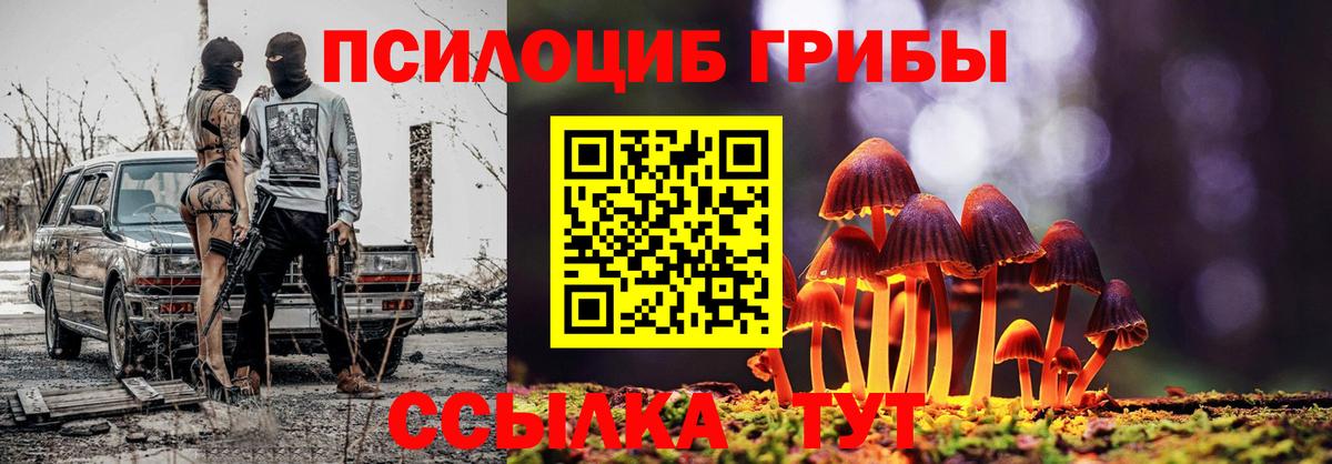 Псилоцибиновые грибы Psilocybe  Вход с VPN  Белгород  Галлюциногенные грибы Magic Shrooms 
